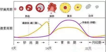 微信图片_20180514142402.jpg 微信图片_20180514142402.jpg