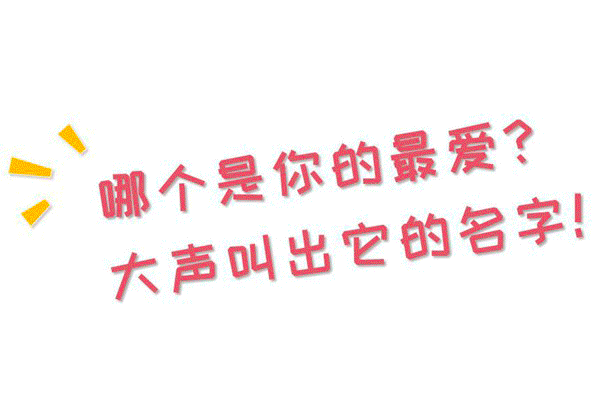 微信图片_20190309120341.gif 微信图片_20190309120341.gif