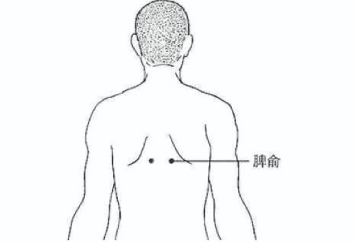 脾俞穴.jpg