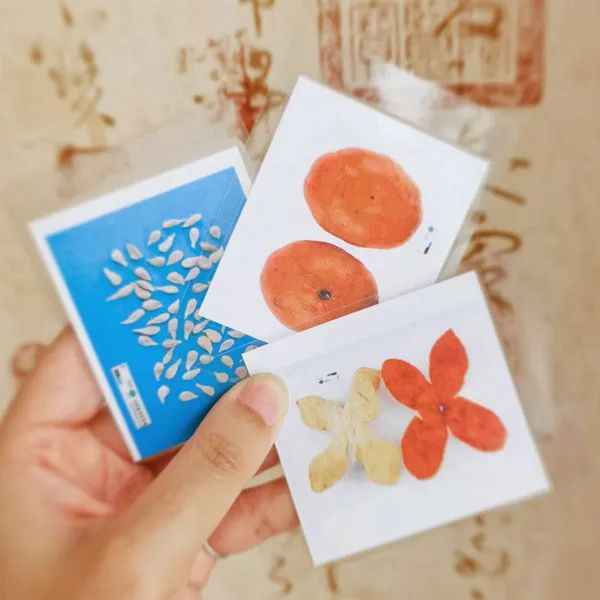 微信图片_20220921090214.jpg 微信图片_20220921090214.jpg