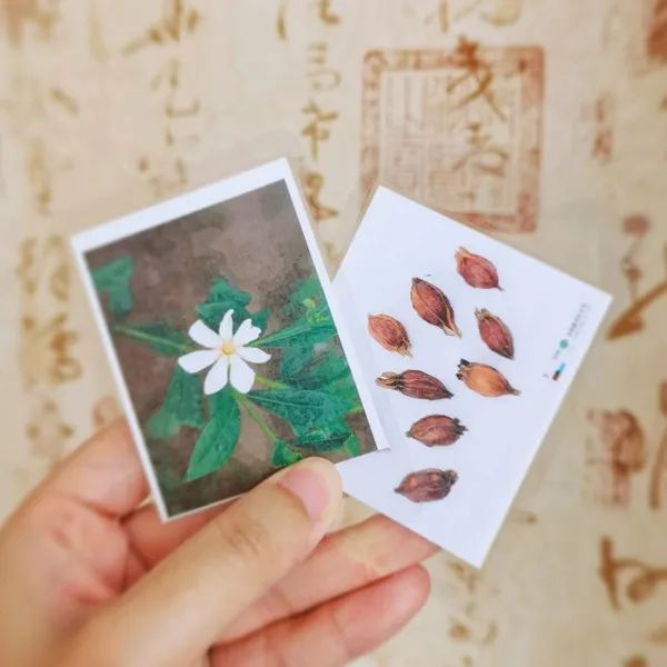 微信图片_20220921090225.jpg 微信图片_20220921090225.jpg