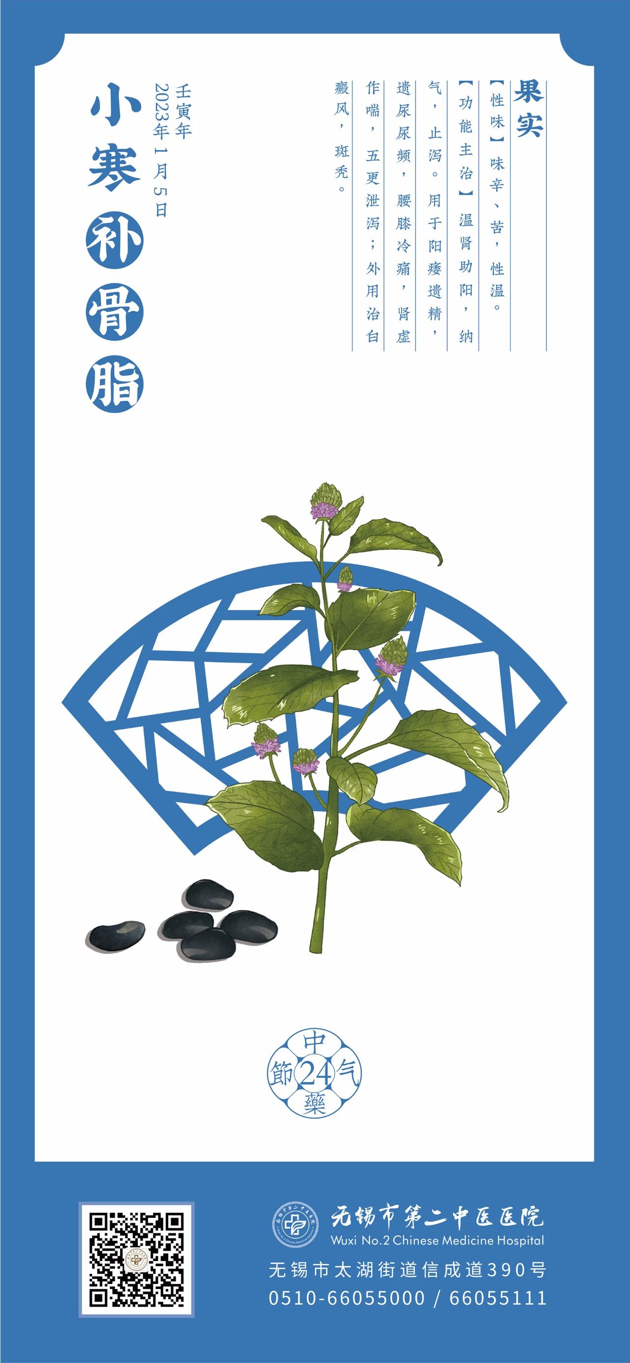 中药二十四节气  今日小寒.jpg