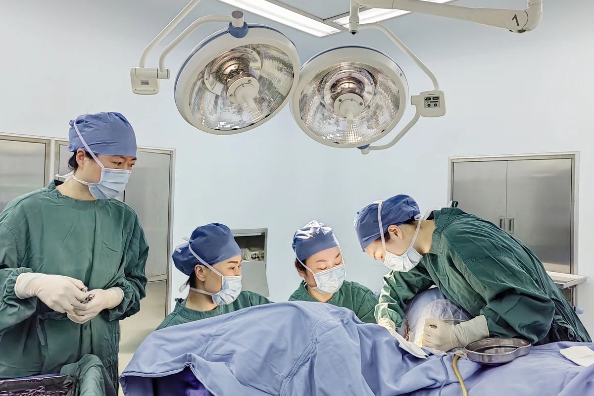 微信图片_20240412085842.jpg 微信图片_20240412085842.jpg