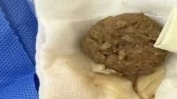 微信图片_20250102170151.jpg 微信图片_20250102170151.jpg