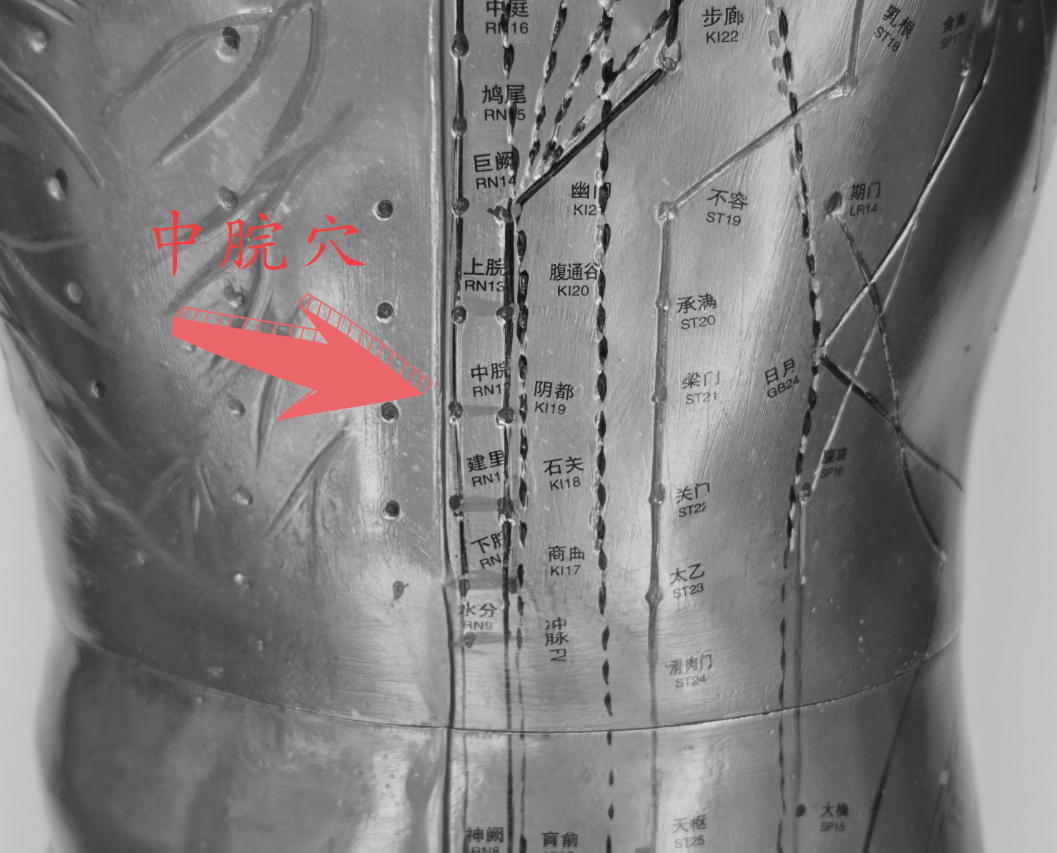 中脘穴.png 中脘穴.png