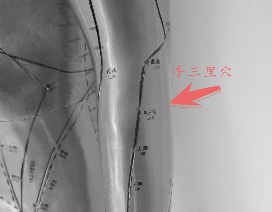 手三里穴.png 手三里穴.png