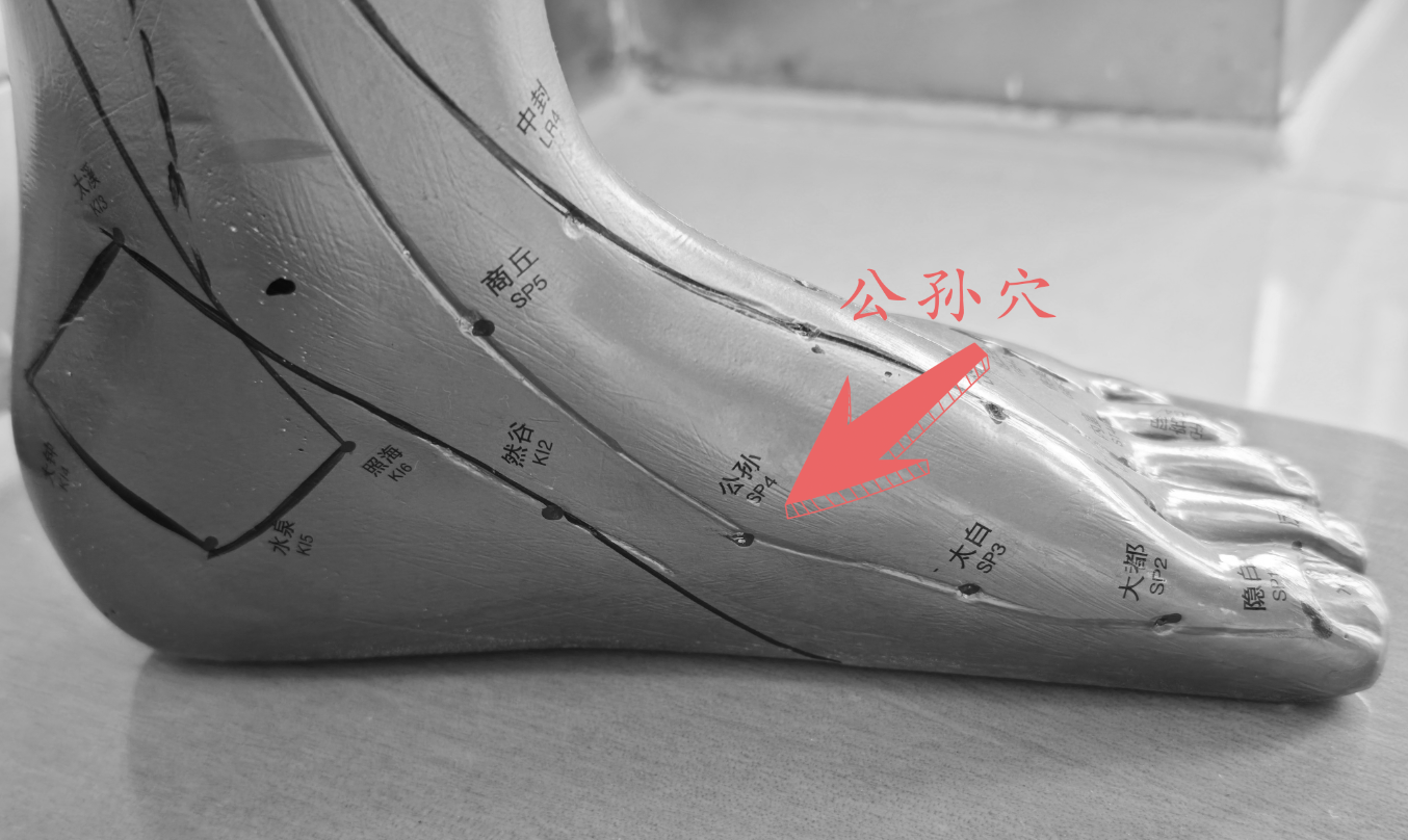 公孙穴.png 公孙穴.png