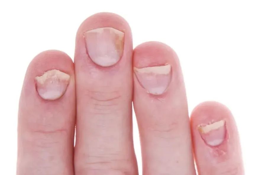 微信图片_20250310143806.jpg 微信图片_20250310143806.jpg